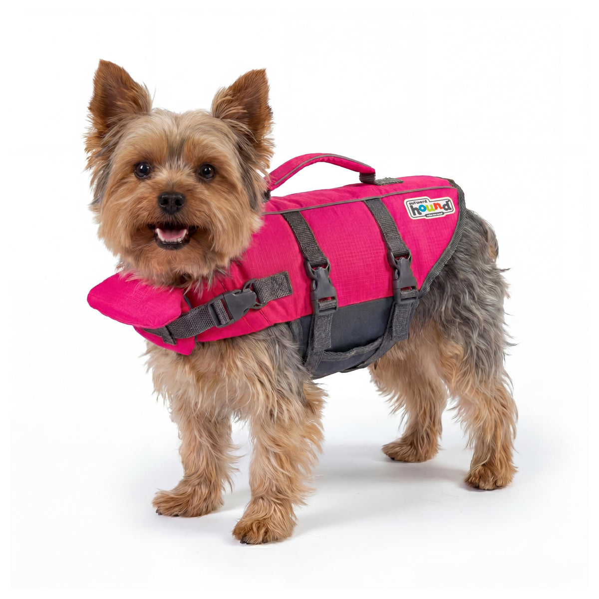 Outward Hound Granby Splash Orange Dog Life Jacket, Medium