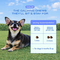 Native Pet Calming Chews for Dogs Medium Breed - 60 Calming Dog Treats - Hemp Seed, Melatonin, L-Theanine - Supports Calm Behavior - 30 Chews