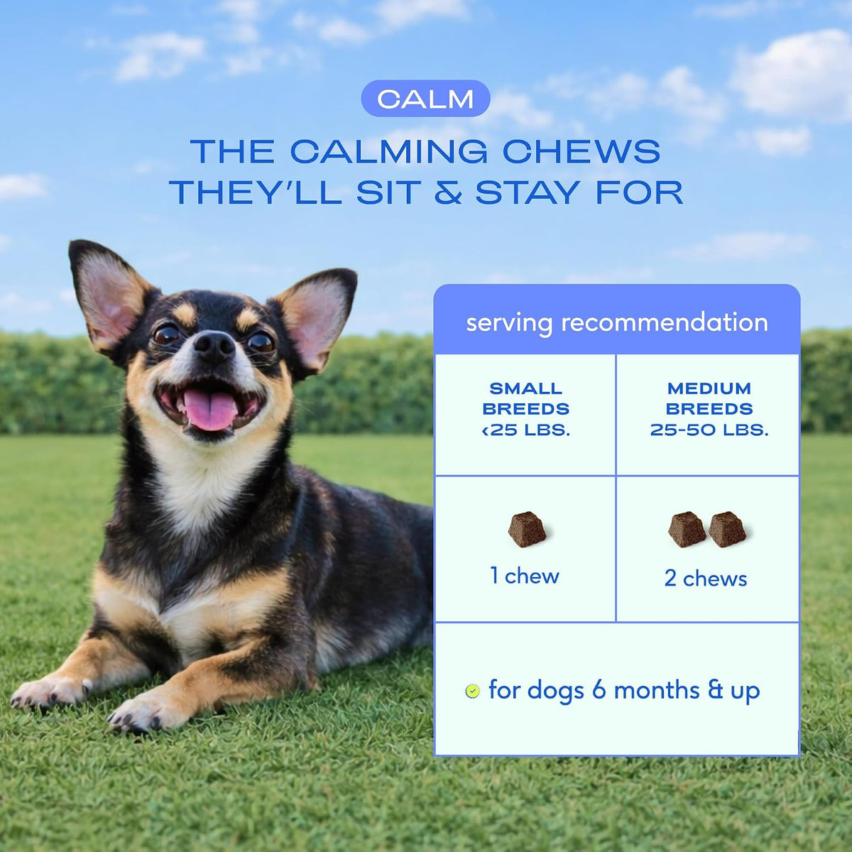 Native Pet Calming Chews for Dogs Medium Breed - 60 Calming Dog Treats - Hemp Seed, Melatonin, L-Theanine - Supports Calm Behavior - 30 Chews