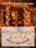 8.5Ft Thanksgiving Turkey String Lights, 10 LED Outdoor with Garland Decor