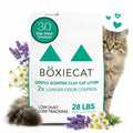 Boxie Premium Scented Clumping Cat Litter 30+ Day Odor Control 16 lb