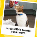 Temptations Cat Treats Classic Crunchy and Soft Cat Treats, Tasty Chicken Flavor, 30 oz. Tub