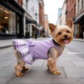 YUDODO Pet Dog Dress for Small Dogs Girl, Pet Summer Clothes with Bowtie | Soft, Stretchy, Breathable, Sleeveless, Cute Princess Pet Dress, For Yorkie Chihuahua Maltese, Purple, S