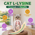 Lysine for Cats, L-Lysine for Cats Chews & Lysine Treats, 500 Chews, Immune Support with L-Lysine Supplement, Colostrum, Quercetin & Omega-3, Respiratory, Sneezing, Runny Nose, Eye, Chicken Flavor