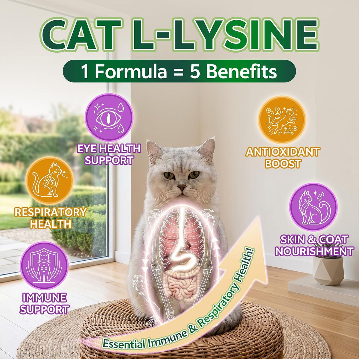 Lysine for Cats, L-Lysine for Cats Chews & Lysine Treats, 500 Chews, Immune Support with L-Lysine Supplement, Colostrum, Quercetin & Omega-3, Respiratory, Sneezing, Runny Nose, Eye, Chicken Flavor