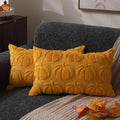 DFXSZ Fall Pillow Covers 18x18 2Pcs Rust Pumpkin Fall Decorations for Home | Fall decor Set of 2 Throw Pillow Cases Soft Plush Faux Fur Wool Couch Cushion for Chair Sofa Bedroom Living Room Home Decor