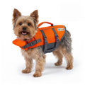 Outward Hound Granby Splash Orange Dog Life Jacket, Medium