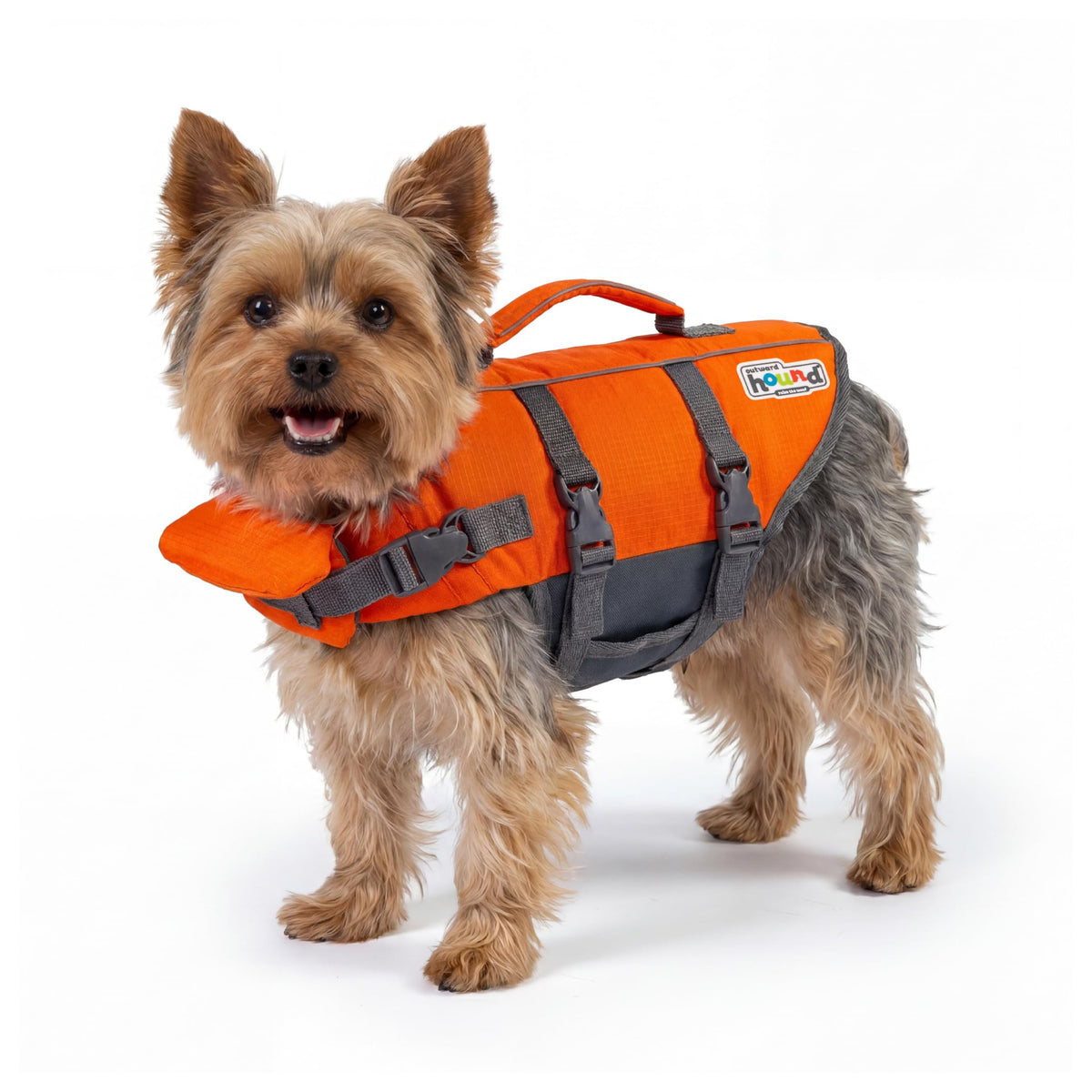 Outward Hound Granby Splash Orange Dog Life Jacket, Medium