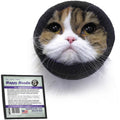 Happy Hoodie The Original Dog & Cat Calming Band - American Brand - Anxiety Relief/Noise Protection-Grooming-Thunder-Fireworks (XS, Purple) - Since 2008