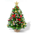 23 in Small Christmas Tree with Lights, Mini Tabletop Tree Desk Decor