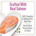 Purina Fancy Feast Petites Seared Salmon Wet Cat Food, 2.8 oz, 12-Pack