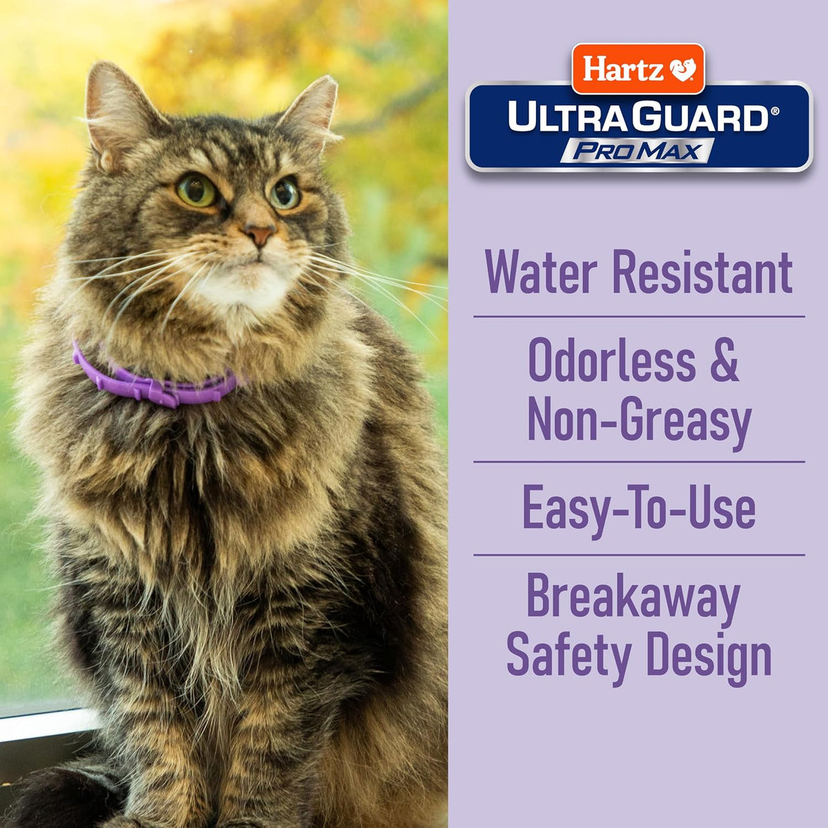 Hartz UltraGuard ProMax Flea & Tick Collar for Cats & Kittens I 14 Months Protection I Soft & Comfortable | Kills Fleas, Ticks, and Larvae I 2 Pack