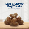 Blue Buffalo Bits Beef Soft & Chewy Dog Treats, Bite-Sized for Training, Made with Real Beef & Enhanced with DHA, Heart-Shaped Dog Treats, Made in the USA with Natural Ingredients, 19 oz.