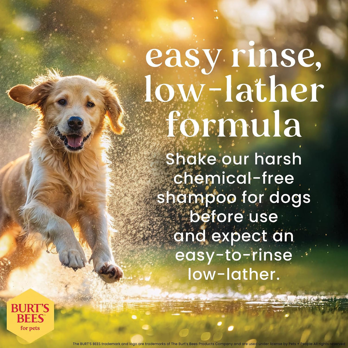 Burt's Bees for Pets Oatmeal Dog Shampoo with Honey, Soothing Formula for Itchy and Sensitive Dog Skin, Colloidal Oat Flour and Honey, pH Balanced, Sulfate-Free, 16 Fl Oz