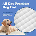 Simple Solution Large Pee Pads for Dogs, Puppy Potty Training, Leak Proof Dog Pads, Pet Pee Pad, Disposable Puppy Pad, Large 23"x24", 100 Count