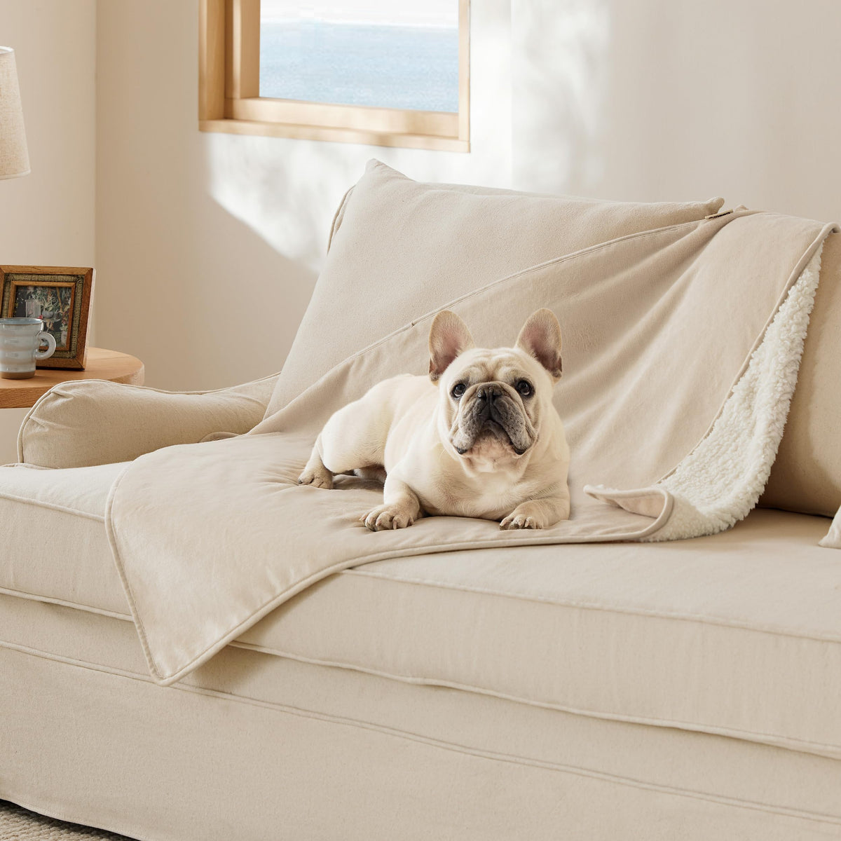 Bedsure Waterproof Dog Blankets for Small Dogs Soft Cat Blanket Warm,25X35