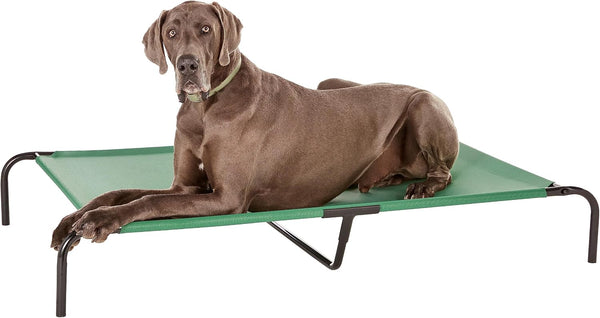 Amazon Basics Cooling Breathable Elevated Dog Bed with Durable Metal Frame for Large Dogs, X-Large, 60 x 37 x 9 Inch, Green, Easy to Clean