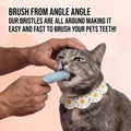 Hampton Distribution 4-Pack Pet Dental Care Kit - 360° Silicone Dog & Cat Finger Pet Toothbrush