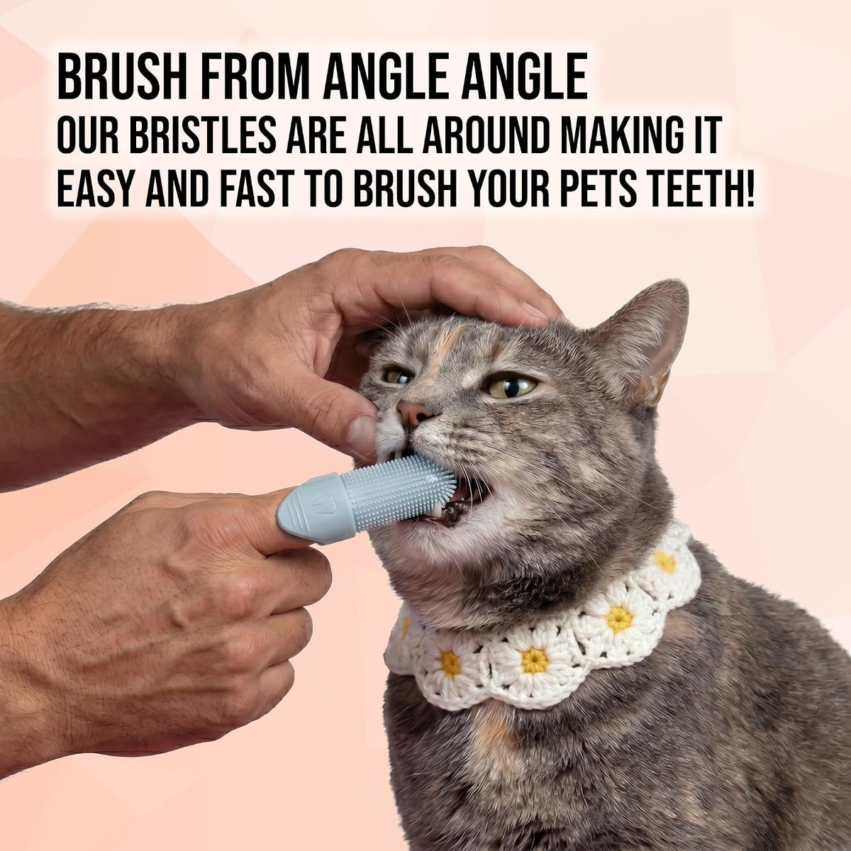 Hampton Distribution 4-Pack Pet Dental Care Kit - 360° Silicone Dog & Cat Finger Pet Toothbrush