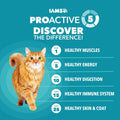 IAMS Proactive Health Dry Cat Food, Indoor Weight and Hairball Care Cat Food Dry Recipe, with Real Chicken in Every Bite, 22 lb. Bag