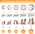 Neater Pet Brands Stainless Steel Dog Bowls with Non-Slip Rubber Bottom – Set of 2, 6 Cup (48 oz), Black - Heavy Duty Metal Dog Bowl, Dishwasher Safe, Food or Water Bowl, Ideal for Large Dogs