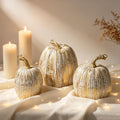 winemana Fall Decorations for Home Mini Pumpkins Gourds & Leaves Set