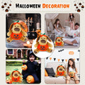 Plush Halloween Dog with Pumpkin - Soft Toy, Home Decor - Gifts for Kids & Toddler Baby - 9 Inches (Halloween Dog)