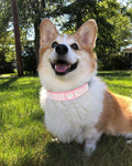 Bling Dog Collar for Small Medium Large Dogs, Crown Rhinestone Dog Collars for Girl and boy Dog, Diamond Puppy Collars, Adjustable Leather Suede SOFE Cat Collar (S(10.6"-13"/27CM-33CM), Pink)