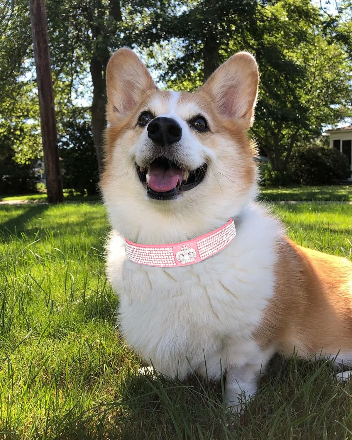 Bling Dog Collar for Small Medium Large Dogs, Crown Rhinestone Dog Collars for Girl and boy Dog, Diamond Puppy Collars, Adjustable Leather Suede SOFE Cat Collar (S(10.6"-13"/27CM-33CM), Pink)