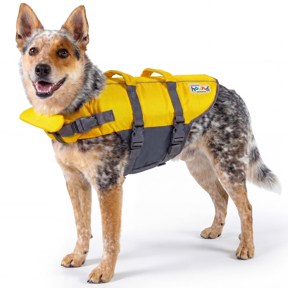Outward Hound Granby Splash Orange Dog Life Jacket, Medium