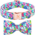 Fall Dog Collar with Bow, Black and Orange Print Fall Pet Collars Small