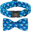 Fall Dog Collar with Bow, Black and Orange Print Fall Pet Collars Small