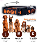 Native Pup Halloween Dog Collar- Spooky Fall Themed Horror Costume Collars- Skull, Pumpkin, Ghost, Bat, Witch, Candy Corn, Spider- Adjustable for Small, Medium, Large Breeds (Small, Big Pumpkins)