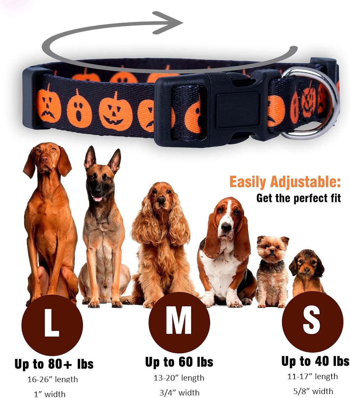 Native Pup Halloween Dog Collar- Spooky Fall Themed Horror Costume Collars- Skull, Pumpkin, Ghost, Bat, Witch, Candy Corn, Spider- Adjustable for Small, Medium, Large Breeds (Small, Big Pumpkins)