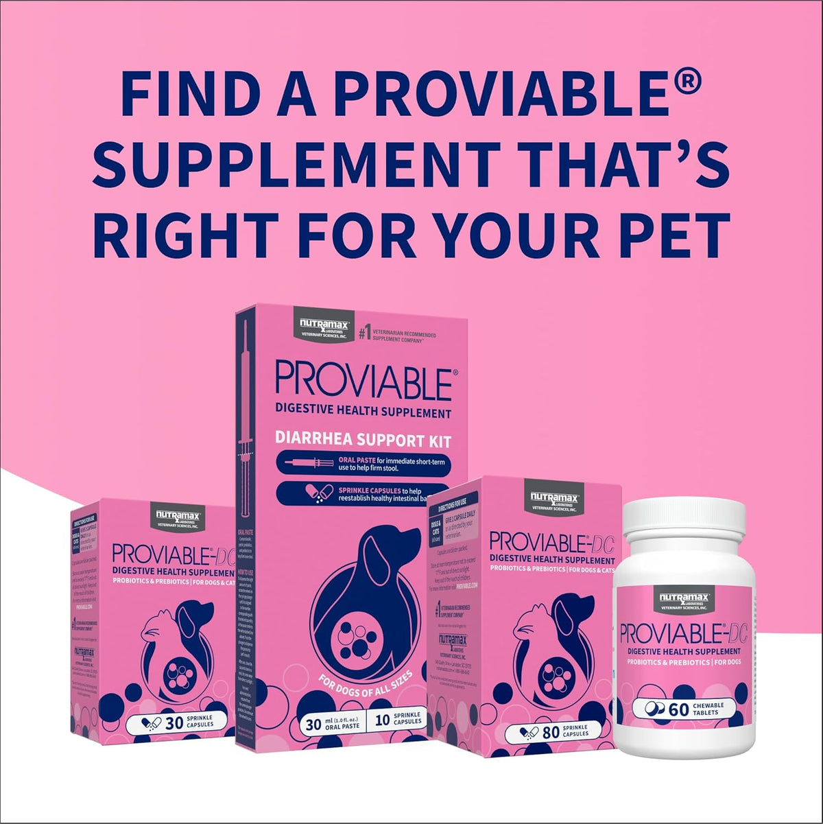 Nutramax Proviable Probiotics for Dogs and Cats, Daily Digestive Health Supplement with Multiple Strains of Bacteria, Cat and Dog Probiotics Plus Prebiotics, 30 Capsules