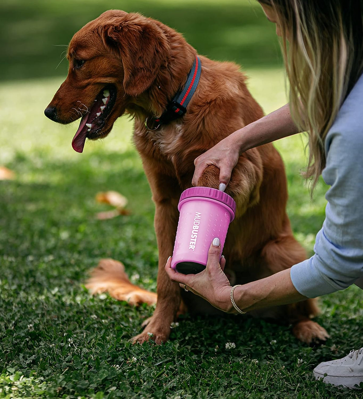 Dexas MudBuster Medium Dog Paw Cleaner, Fuchsia, Fits 1.5"-2.5" Wide Paws, Gentle Silicone Bristles for Quick, Easy Cleaning