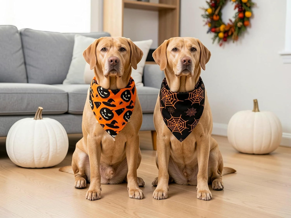 Fall Dog Bandanas 2PCS Halloween Pumpkin Spider Web Large Dogs | 2PCS reversible dog bandanas for fall & Halloween & Thanksgiving.Orange plaid/pumpkin/Spider Web design.Fits medium-large dog