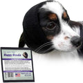 Happy Hoodie The Original Dog & Cat Calming Band - American Brand - Anxiety Relief/Noise Protection-Grooming-Thunder-Fireworks (XS, Purple) - Since 2008