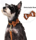 Beirui Cute Small Dog Harness Collar and Leash Set, Brown,XS,Chest 13-28"