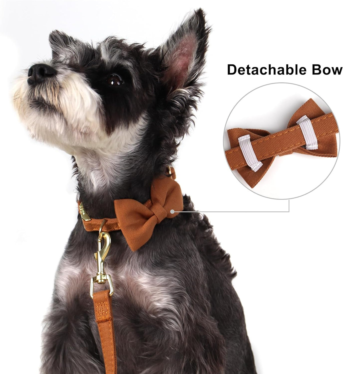 Beirui Cute Small Dog Harness Collar and Leash Set, Brown,XS,Chest 13-28"