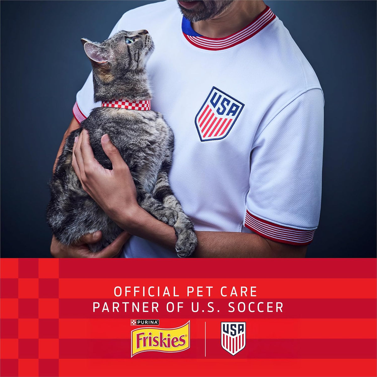 Purina Friskies Natural Cat Treats Party Mix Natural Yums With Real Salmon and Added Vitamins, Minerals and Nutrients - 20 Oz. Canister
