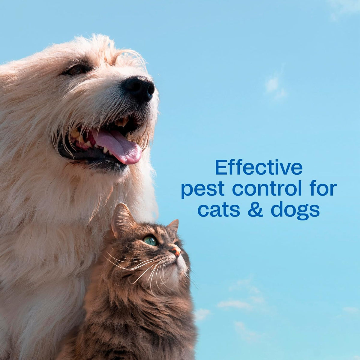 ADAMS Plus Flea & Tick Shampoo with Precor for Dogs & Cats, 24 oz | Flea shampoo for dogs and cats kills flea eggs and lice on contact, helps stop hatching for 28 days