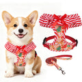 EXPAWLORER Step-in Dog Harness Small Sized Collar and Leash Set
