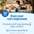 Fresh Step Clean Care Crystsal Cat Litter with Febreze Freshness, Ammonia Block Technology, Lightweight Fresh Step Crystals, Low Dust, 8 lb. Bag, Pack of 2