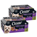 Cesar Wet Dog Food Classic Loaf in Sauce Grilled Chicken, Filet Mignon, Porterhouse Steak, Beef, Chicken & Liver and Turkey Variety Pack 3.5 oz. Easy Peel Trays (36 Count, Pack of 1)