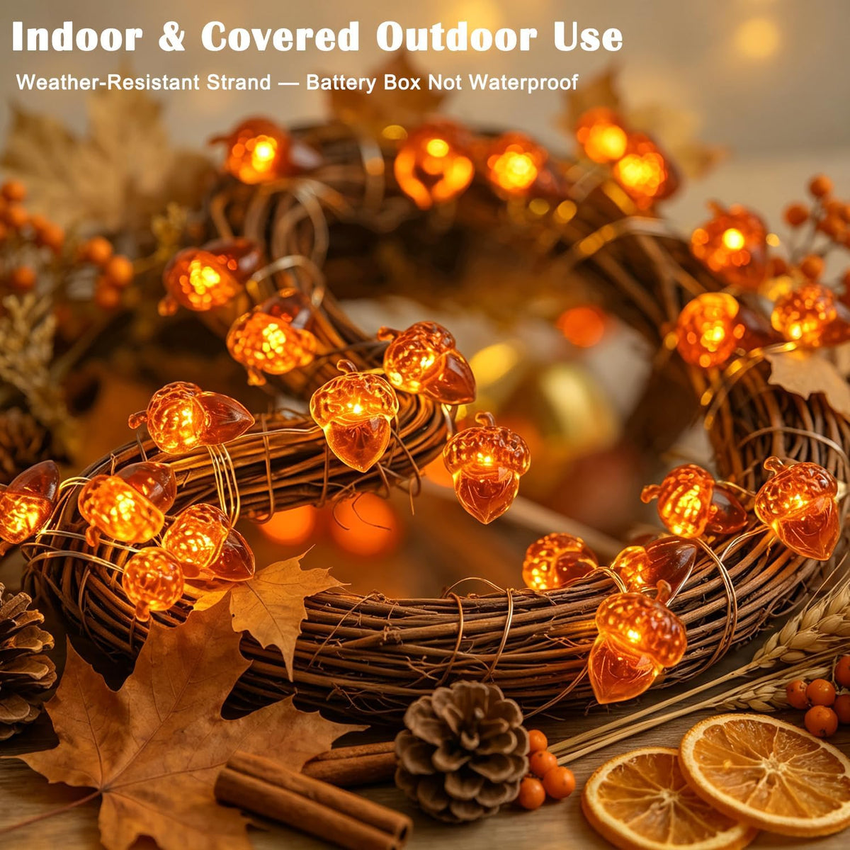 Thanksgiving Decoration 13ft 40 LED Acorn Fall Fairy Lights Battery Powered