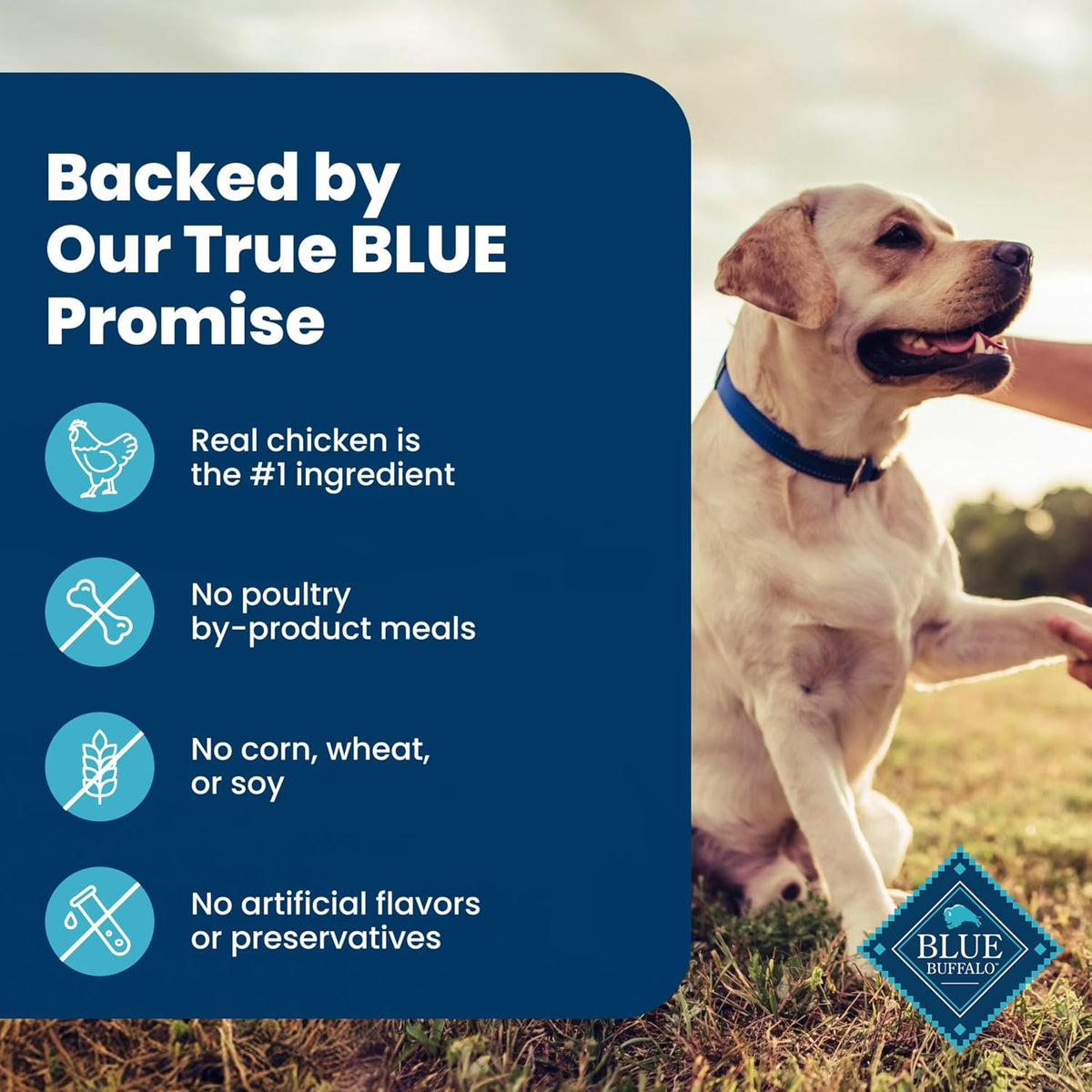 Blue Buffalo Homestyle Recipe Chicken & Vegetable Dinner Paté Natural Wet Dog Food for Senior 7+ Dogs, Made with Natural Ingredients, Vitamins & Minerals, 12.5-oz. Can (12 Count)