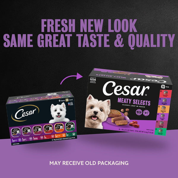 Cesar Wet Dog Food Classic Loaf in Sauce Grilled Chicken, Filet Mignon, Porterhouse Steak, Beef, Chicken & Liver and Turkey Variety Pack 3.5 oz. Easy Peel Trays (36 Count, Pack of 1)