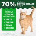 Greenies Cat Treats, Feline Veterinarian-Recommended Adult Natural Dental Cat Treats, Savory Salmon Flavor, 4.6 oz. Pouch