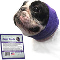 Happy Hoodie The Original Dog & Cat Calming Band - American Brand - Anxiety Relief/Noise Protection-Grooming-Thunder-Fireworks (XS, Purple) - Since 2008